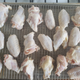 Image for article titled Don’t fry this at home: Baked chicken wings are just as good